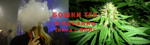 ГАЛЛЮЦИНОГЕННЫЕ ГРИБЫ Аркадак