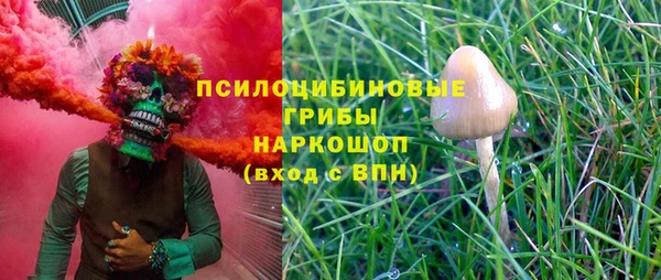 бошки Арсеньев