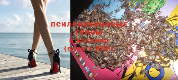 бошки Арсеньев
