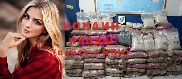 ГАЛЛЮЦИНОГЕННЫЕ ГРИБЫ Аркадак