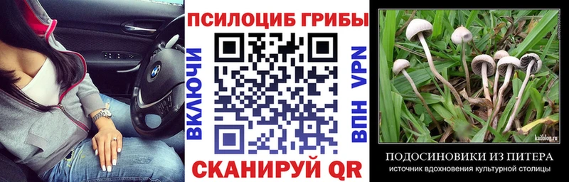 Галлюциногенные грибы Psilocybe  мега зеркало  Рошаль  даркнет сайт 